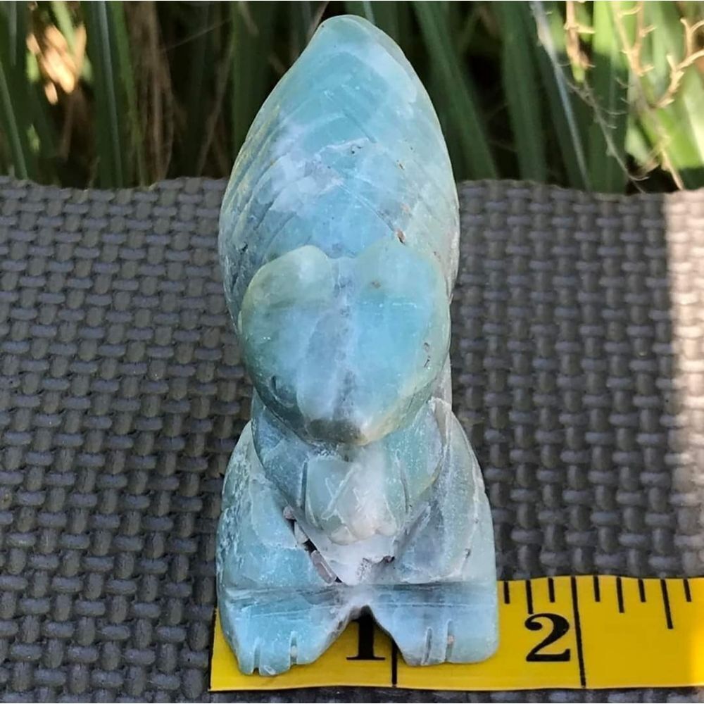 Caribbean Calcite Squirrel - Picture 8 of 10